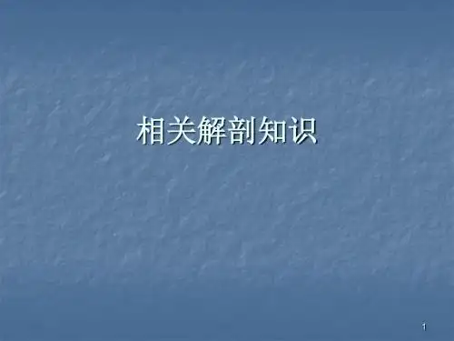 脊柱及椎体解剖图谱ppt课件