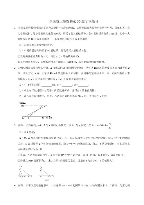 一次函数压轴题精选30题专项练习