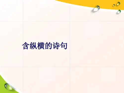 含纵横的诗句