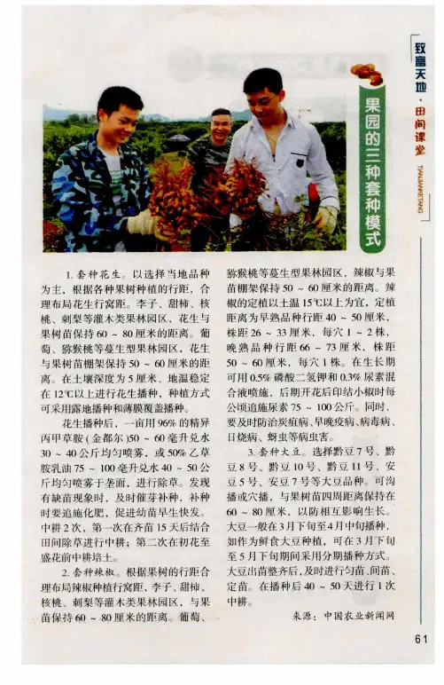 果园的三种套种模式