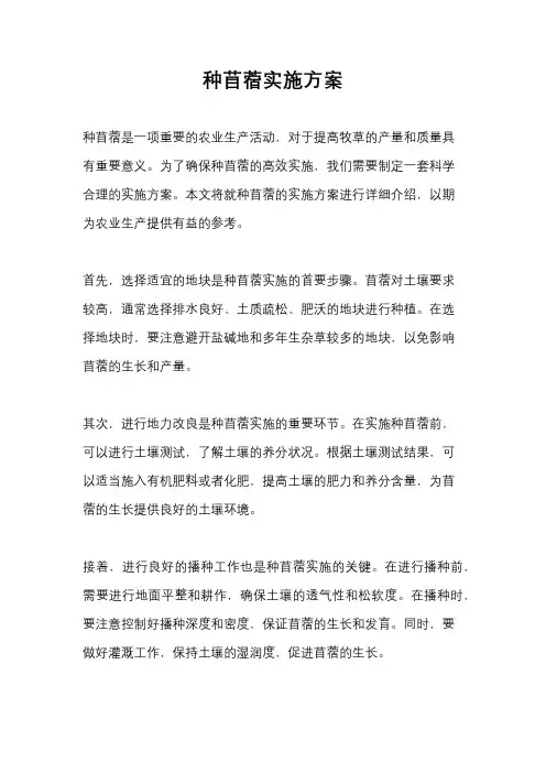种苜蓿实施方案
