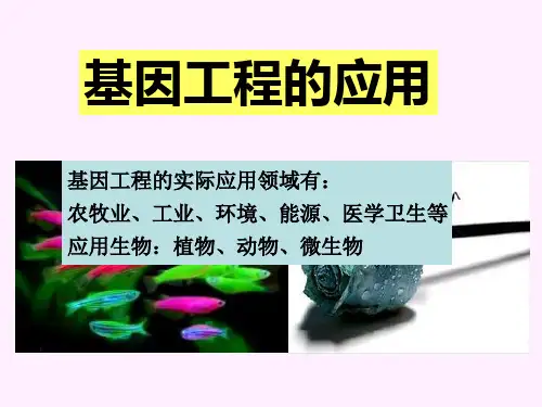 基因工程的应用