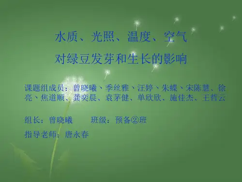 水质、光照、温度、空气对绿豆发芽和生长的影响