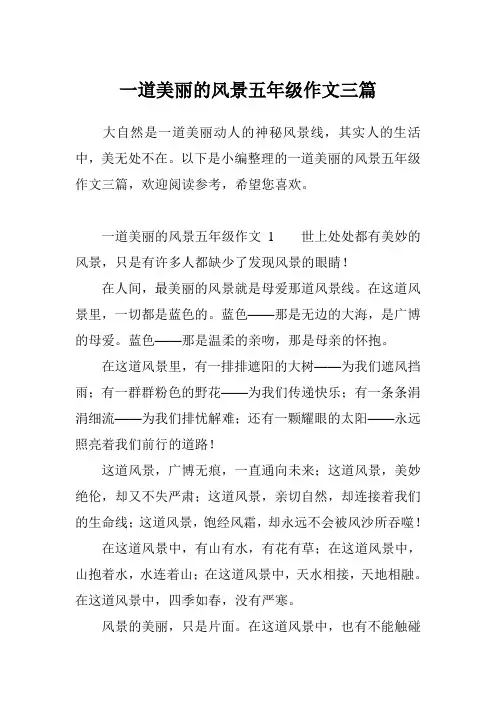 一道美丽的风景五年级作文三篇