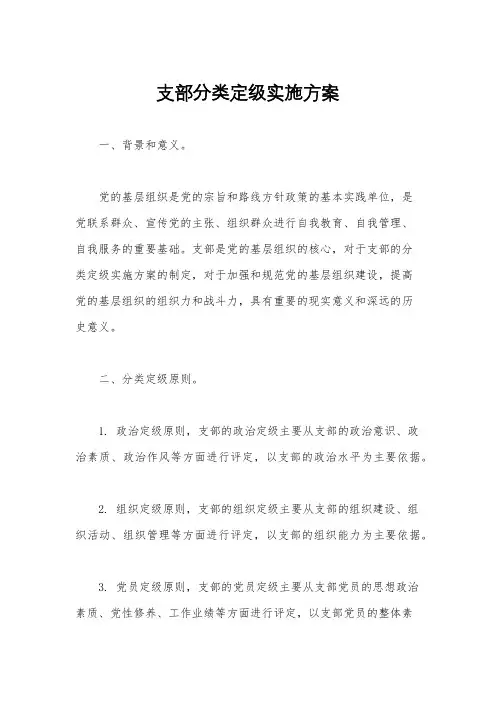 支部分类定级实施方案