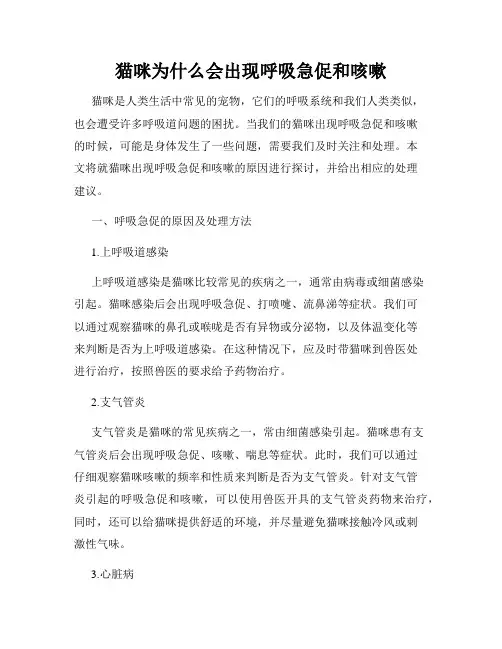 猫咪为什么会出现呼吸急促和咳嗽