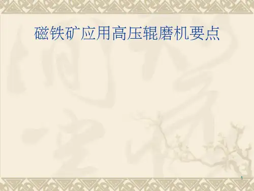 高压辊磨机应用ppt课件