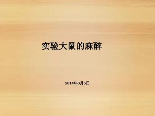 大鼠麻醉