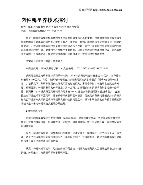 肉种鸭旱养技术探讨