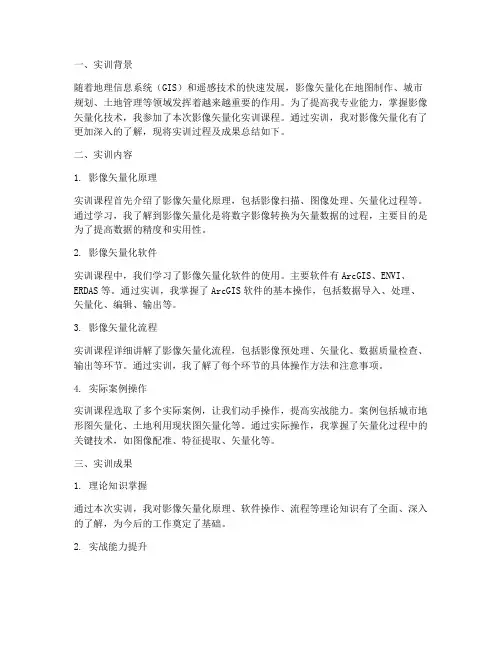 影像矢量化实训报告总结