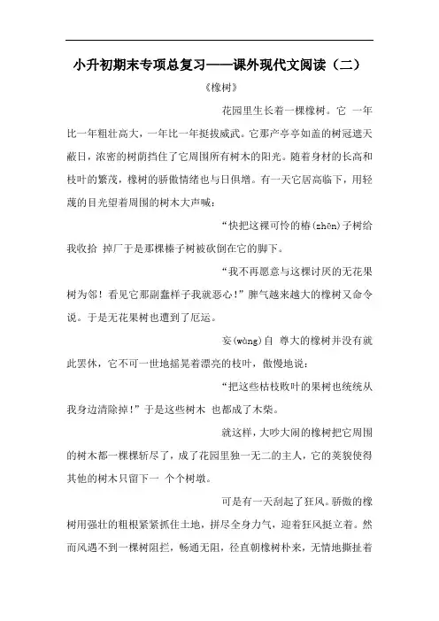 小升初语文专项总复习 课外现代文阅读(二)(人教部编版,含答案)
