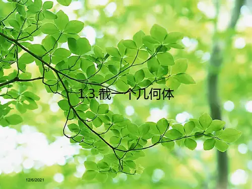 七年级数学上册 1.3 截一个几何体课件上册数学课件