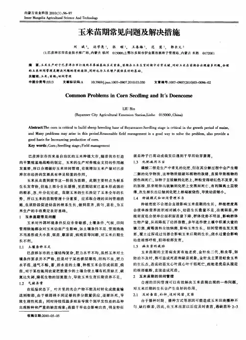 玉米苗期常见问题及解决措施