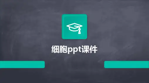细胞ppt课件