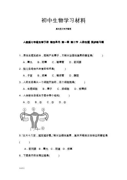 人教版七下生物第四单元 第一章 第二节 人的生殖 同步练习题