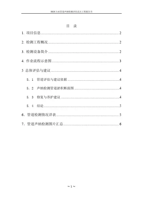 管道声纳检测报告模板