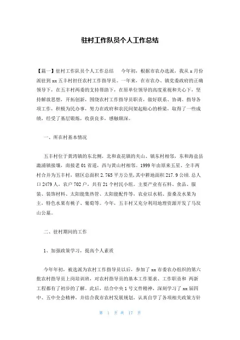 驻村工作队员个人工作总结