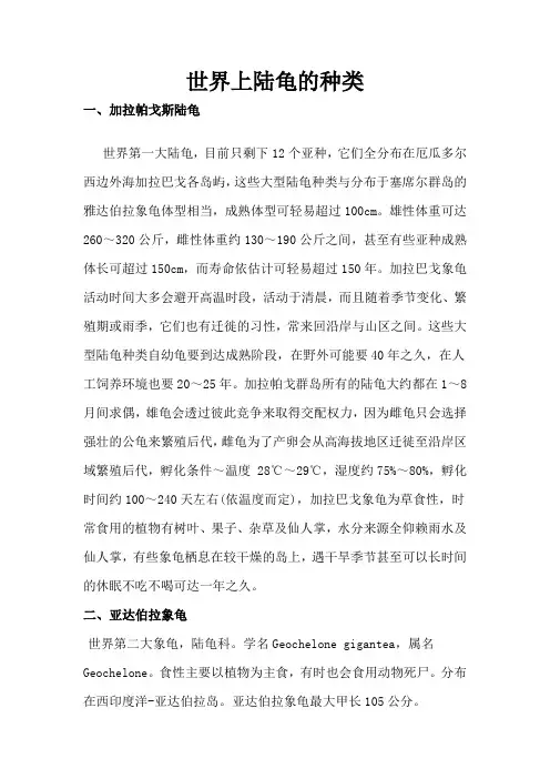 八个品种陆龟