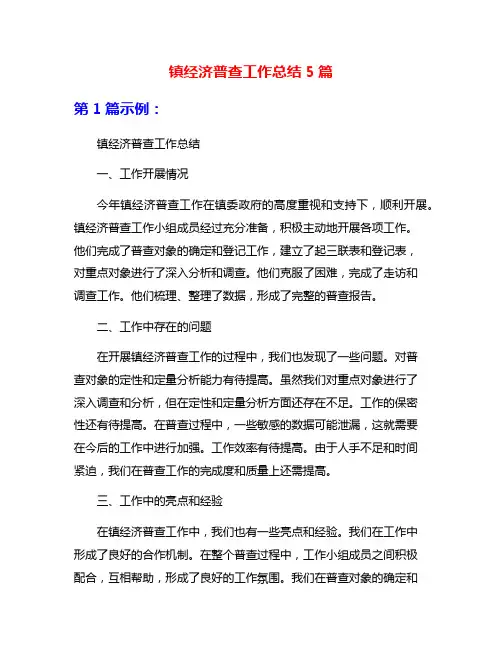 镇经济普查工作总结5篇