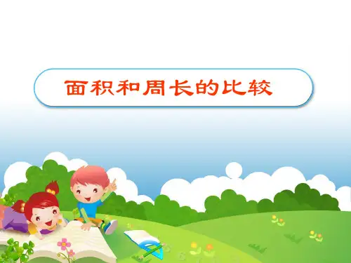 面积与周长的比较 PPT