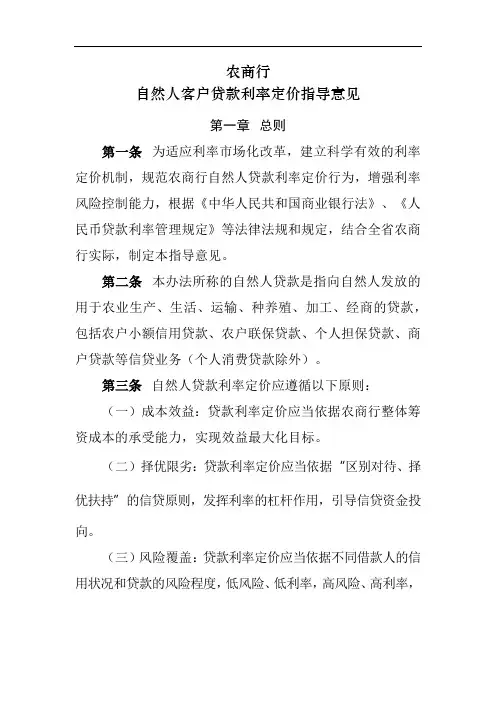 自然人客户贷款利率定价指导意见模版