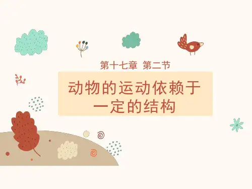 17.2  动物的运动依赖于一定的结构  课件-2024-2025学年苏教版生物八年级上册