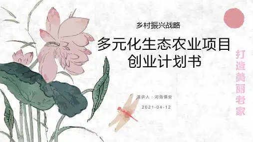 乡村振兴—多元化生态农业项目战略规划书