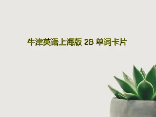 牛津英语上海版 2B 单词卡片共183页