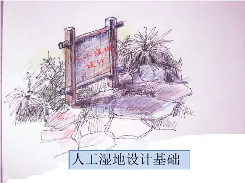 人工湿地设计
