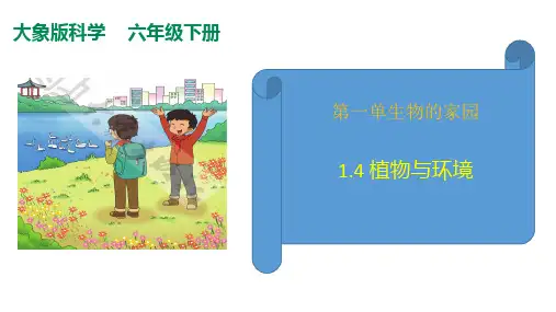 1.4植物与环境课件(28张PPT+素材)