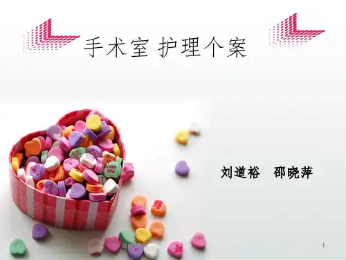 手术室护理个案ppt课件
