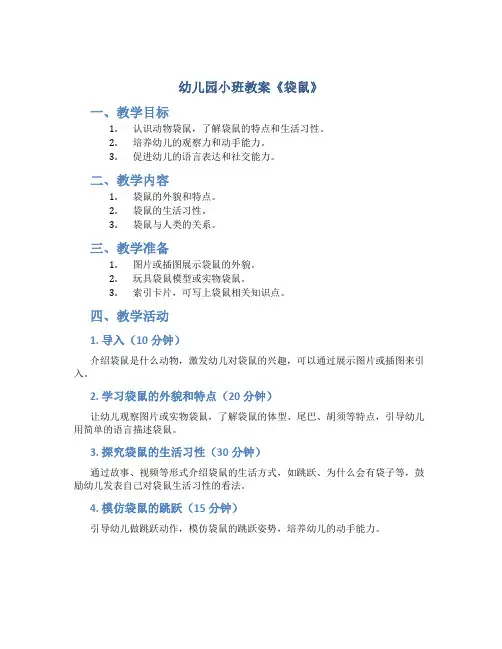 幼儿园小班教案《袋鼠》