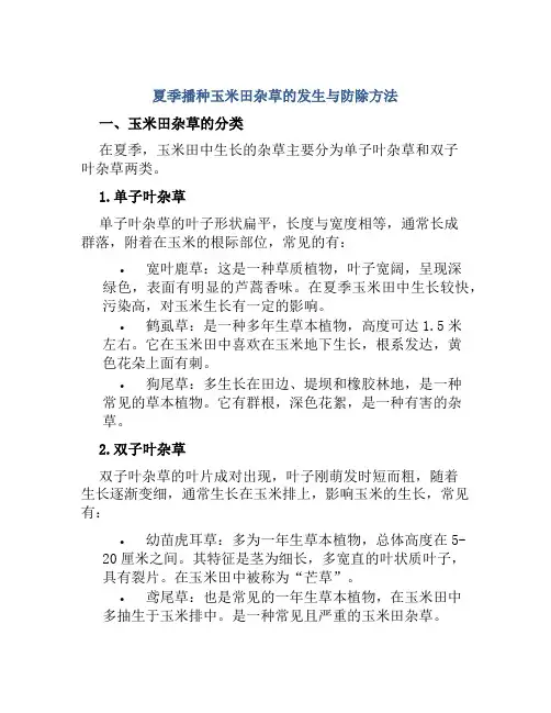 夏季播种玉米田杂草的发生与防除方法
