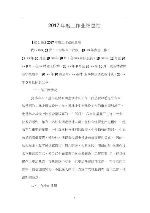 2017年度工作业绩总结