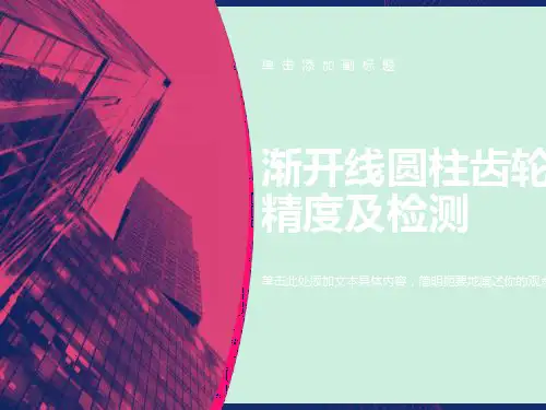 渐开线圆柱齿轮精度及检测