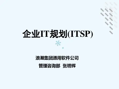 企业IT规划(ITSP)PPT课件