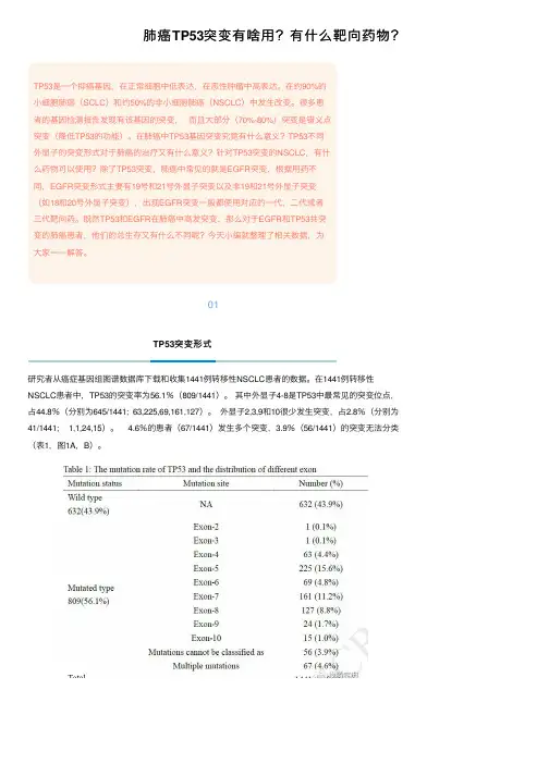 肺癌TP53突变有啥用？有什么靶向药物？