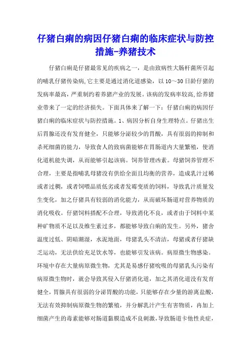 仔猪白痢的病因 仔猪白痢的临床症状与防控措施 - 养猪技术