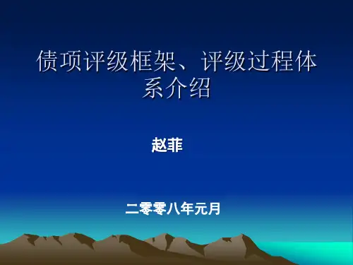 中国工商银行债项评级体系介绍