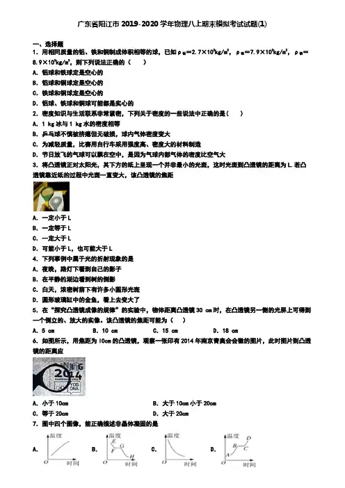广东省阳江市2019-2020学年物理八上期末模拟考试试题(1)