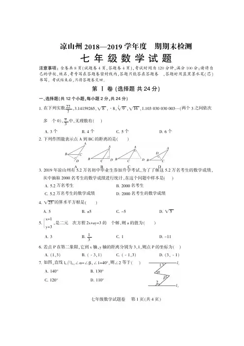 2019年下学期凉山中小学期末考试题-七年级数学