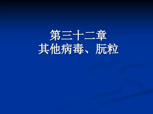 其他病毒朊粒精品PPT课件