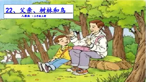 《父亲、树林和鸟》PPT优质文档(共18张PPT)