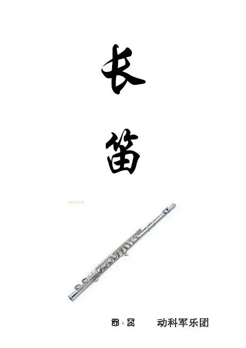 长笛总结
