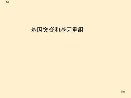 2017届高考生物一轮详细复习 基因突变和基因重组课件