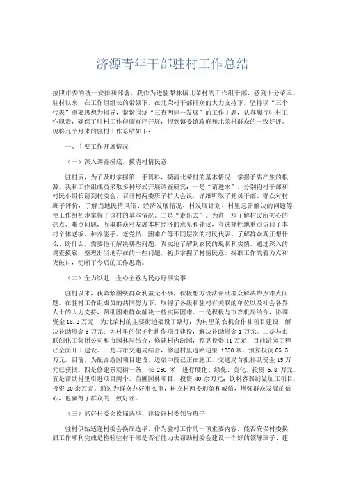 工作总结-济源青年干部驻村工作总结 精品