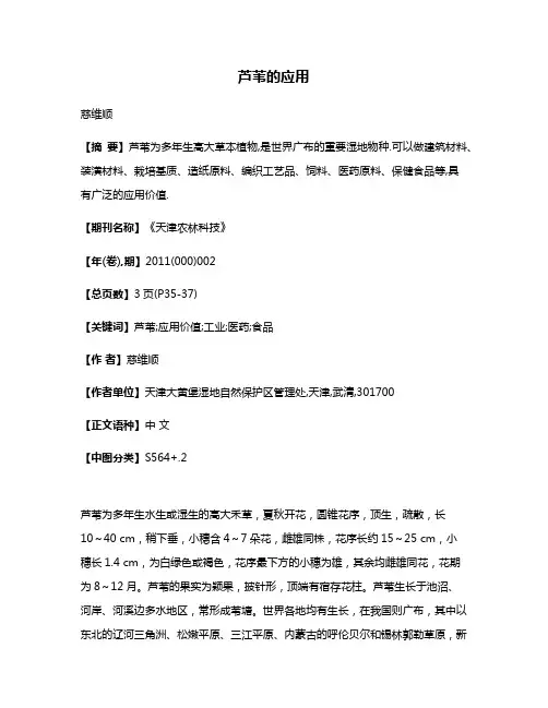 芦苇的应用