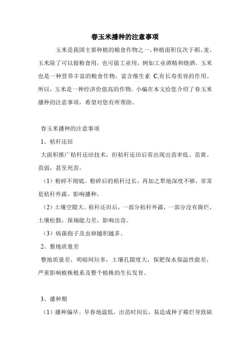 春玉米播种的注意事项.doc