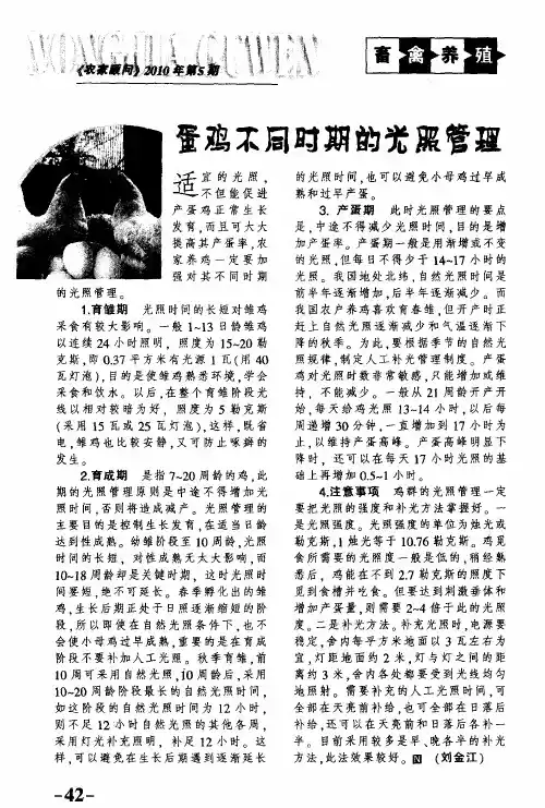 蛋鸡不同时期的光照管理