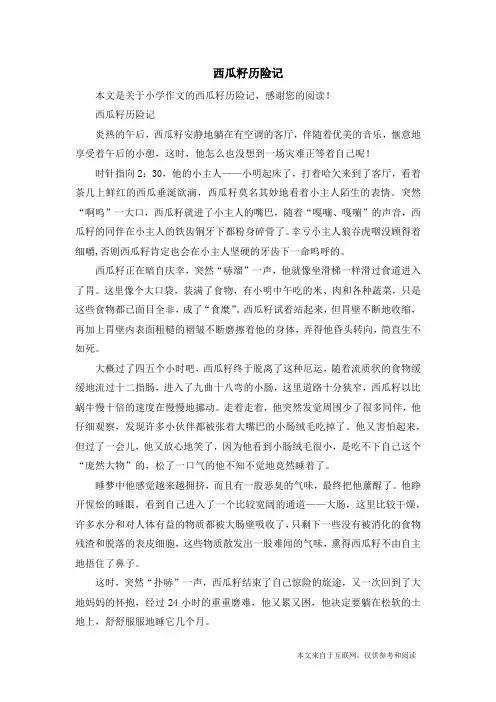 西瓜籽历险记_小学作文